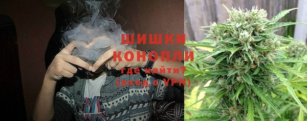 тгк Переславль-Залесский