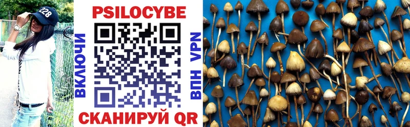 shop клад  Городовиковск  Галлюциногенные грибы GOLDEN TEACHER 